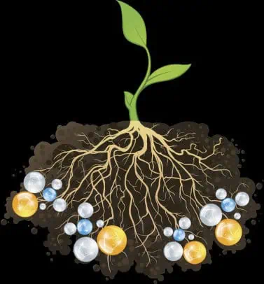 Micro granular fertilizers 1 Microgranulat General foto