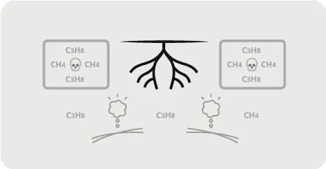 Plant nutrition through organic matter 1 t01a