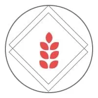 TIMAIOS. Durum wheat of the highest quality 2 LOGO TIMAIOS