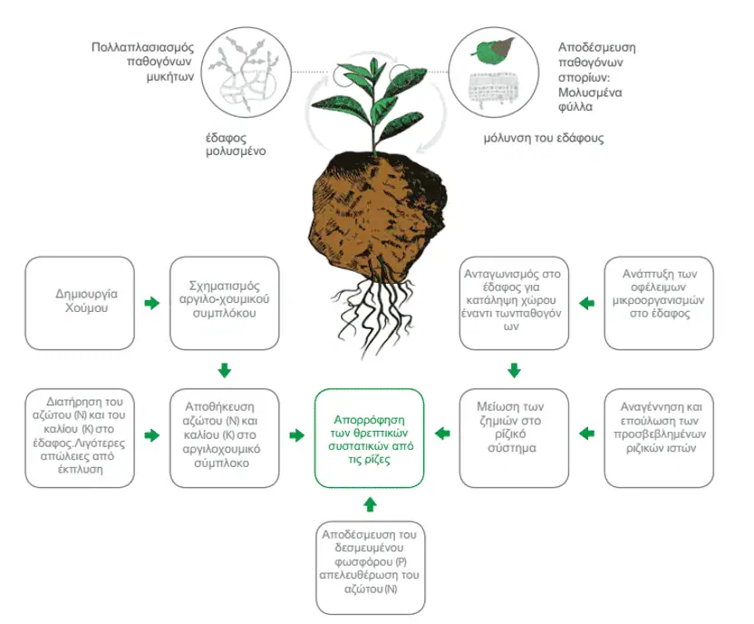 Κοκκώδη Λιπάσματα TERRABIOTEC 1 terralogy